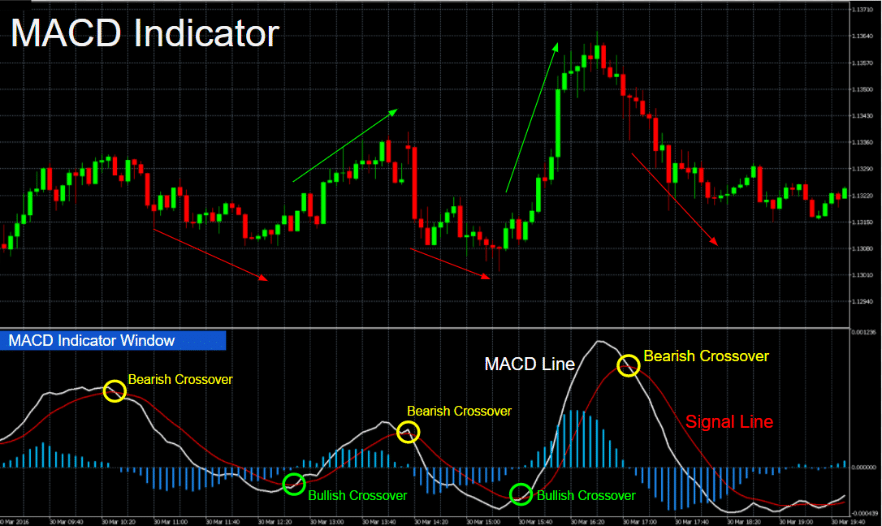 Indikator forex trading what is the plus and minus in betting