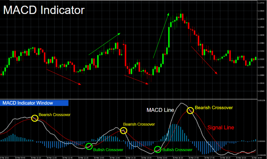 The Best Mt4 Indicators And Expert Advisors For Forex Trading 9741