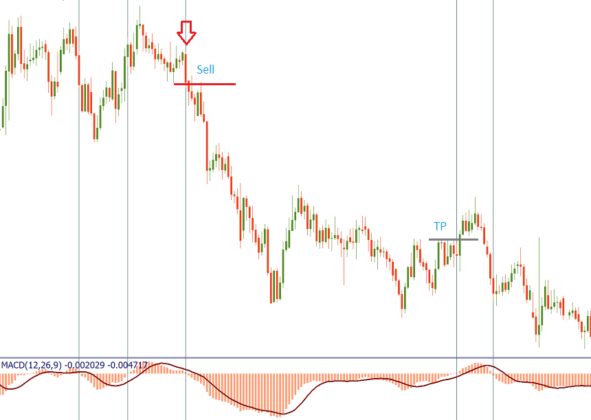 using macd indicator for forex trading
