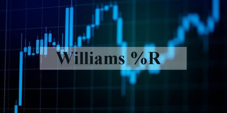 The Trading Indicator You Have not Heard of – The Williams %R