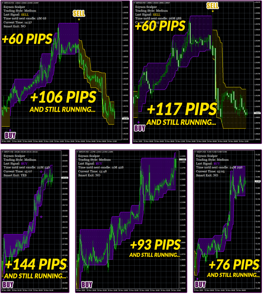 Exynox Scalper Trading Results