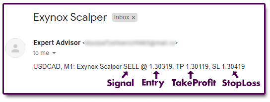Exynox Scalper - notifications