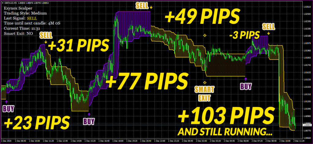 Exynox Scalper Trading Results