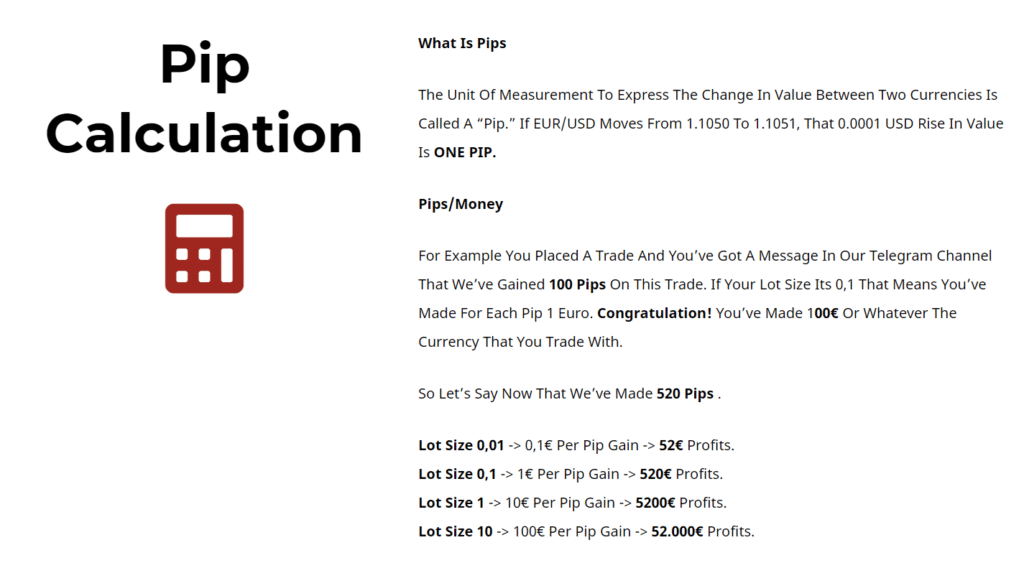 V12 Trading. Pip calculator