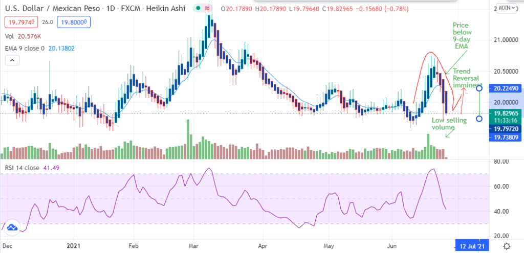 USD/MXN chart