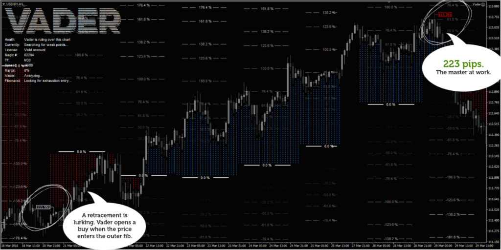 An example of trading performance of the system.