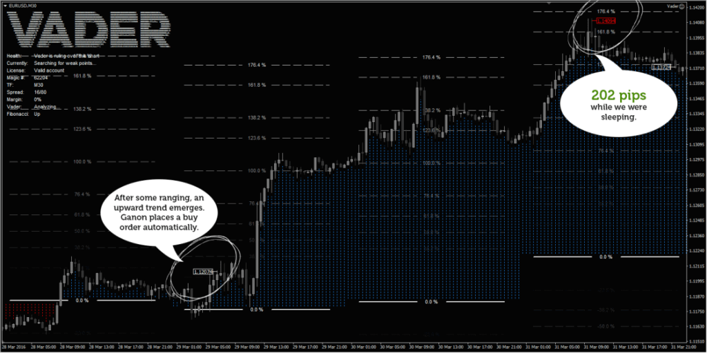 An example of trading performance of the EA. 