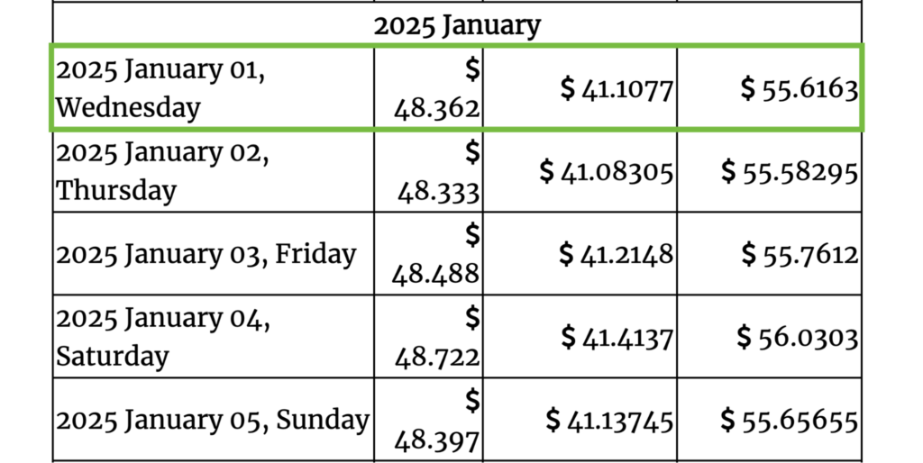 Gov Capital 2025 forecasts