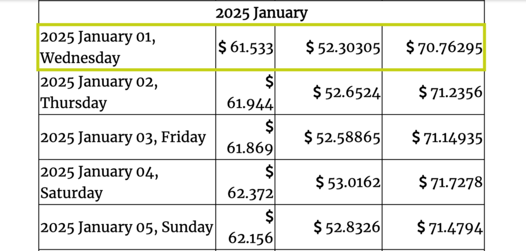 The RUNE price estimates for 2025 by Gov Capital