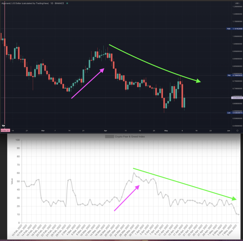 Two charts showing the correlation of ALGO’s price to the FGI